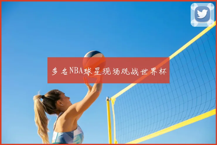 多名NBA球星现场观战世界杯