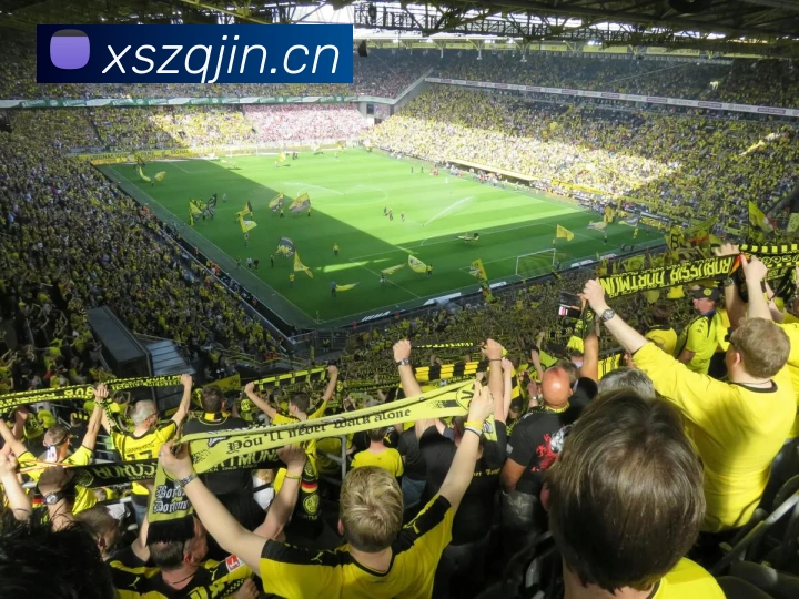 世界杯下单网站平台生态图